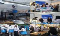 استقرار غرفه شبکه بهداشت و درمان شهرستان قرچک و ارائه خدمات سلامت در مراسم ۱ کیلومتری عید سعید غدیرخم