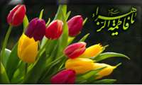 تولد بانوی دو عالم 