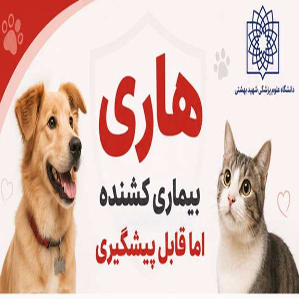 هاری
